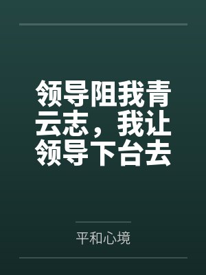 岭南之夜阿梅最后和谁在一起了