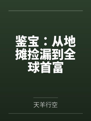 鉴宝:从地摊捡漏到全球首富