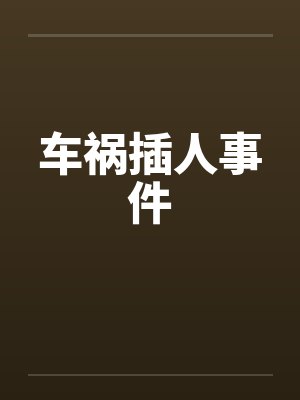 车祸插人事件