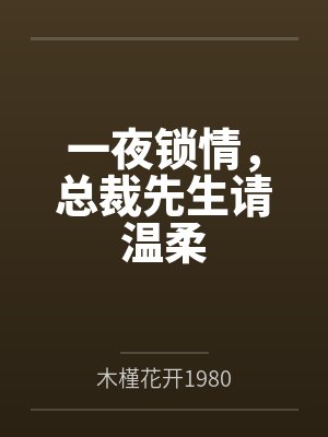 一夜锁情,总裁先生请温柔