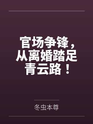 官场争锋，从离婚踏足青云路！