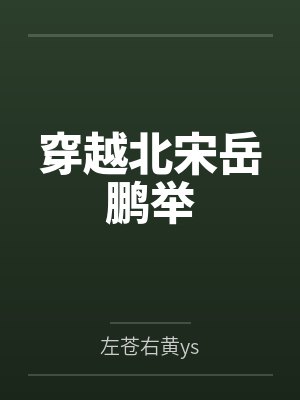 穿越北宋岳鹏举