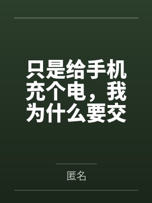 只是给手机充个电,我为什么要交9万9的电费啊?